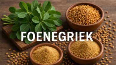 Foenegriek